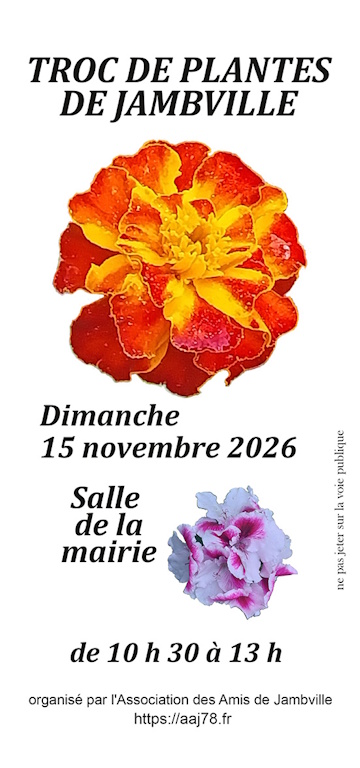 Troc-plantes le 15 novembre